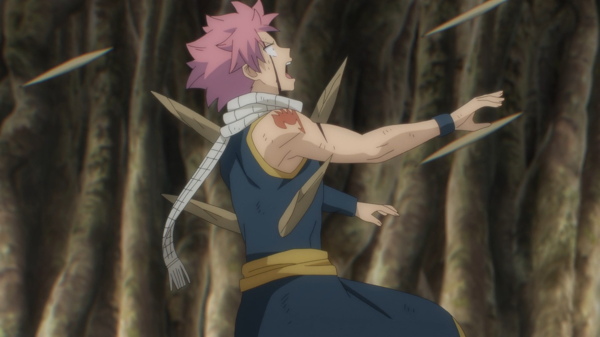 The Legacy and Evolution of Fairy Tail in the 100 Years Quest